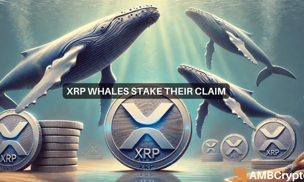 XRP市值达到500亿美元里程碑——XRP 2美元是否可实现？