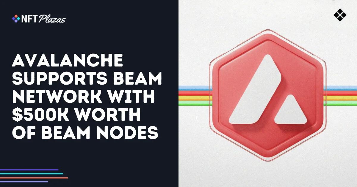 Avalanche Support Beam Network: Beam Nodes Valued at 500,000 Dollars